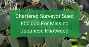 Has Your Surveyor Missed Japanese Knotweed?