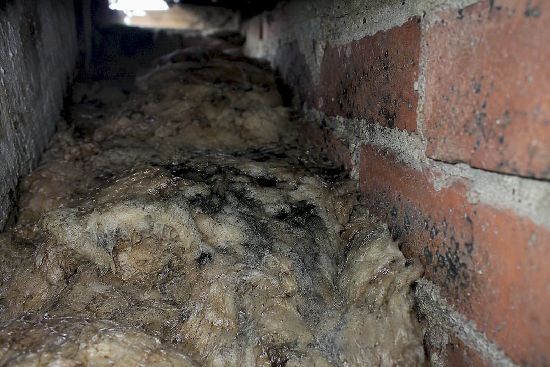 Damp mould damaged insulation inside brick cavity wall