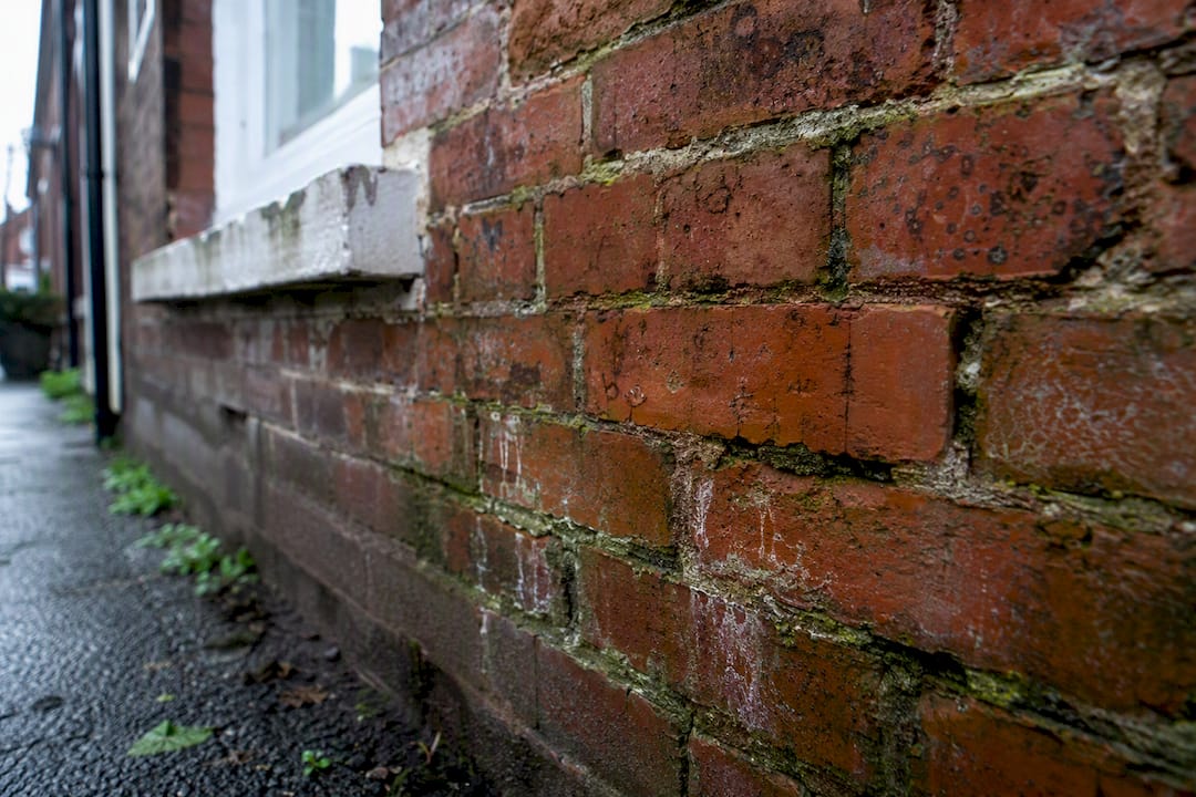 Damp stain and mould on UK brick wall
